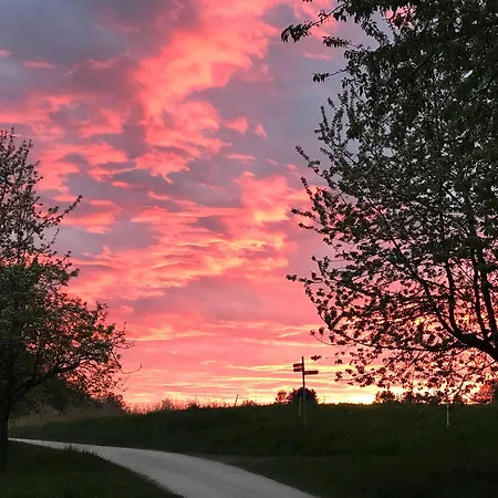 Vogt Daire Sipplingen