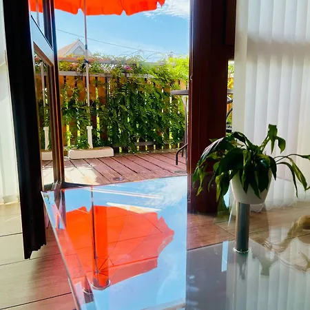 Vogt Зипплинген