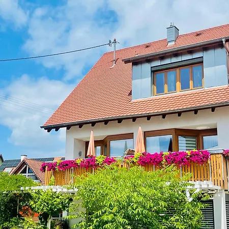 Vogt * Зипплинген