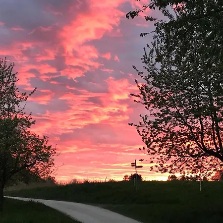 Vogt Sipplingen
